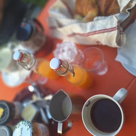 Maison Sol En Ciel Petit Dejeuner Et Parking Inclus 3* 艾格-莫尔特