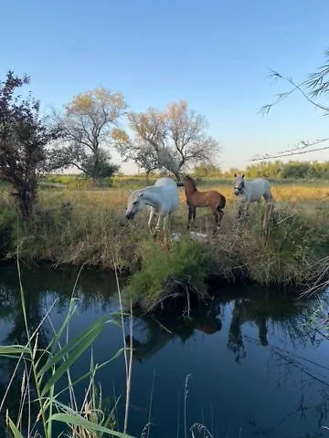 Bed & Breakfast Maison Sol En Ciel Petit Dejeuner Et Parking Inclus 3*